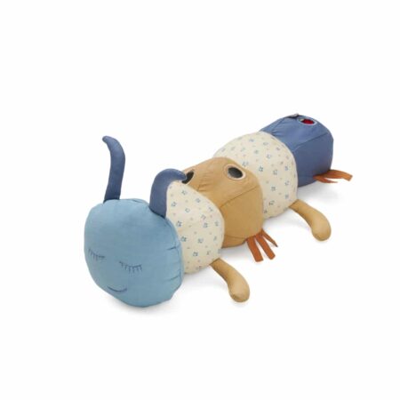 CamCam - Caterpillar Activity Toy - OCS - Capri