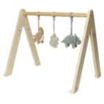 Jollein - Babygym Speeltjes Roarsome