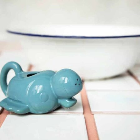 Lilliputiens - Drijvend Gietertje Pablo