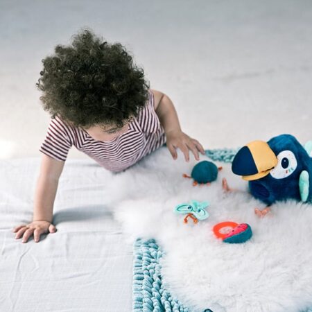 Lilliputiens - Pablosmulpaap