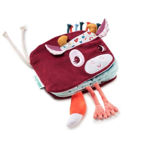 Lilliputiens - Wie Verstopt Zich Achter Rosalie? - Boek