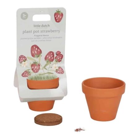Little Dutch Toys - Plantenpotje Aardbei