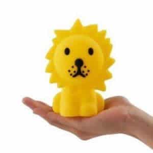 Mr Maria - Leeuw bundle of light