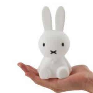 Mr Maria - Nijntje bundle of light