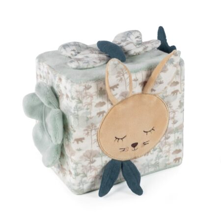 Pasito a Pasito - Activity Cube Rabbit Serengueti