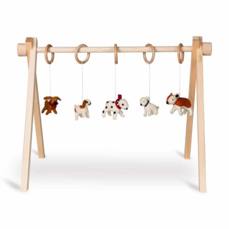 Quax - Activity Toy Set Dog (5 Pcs)