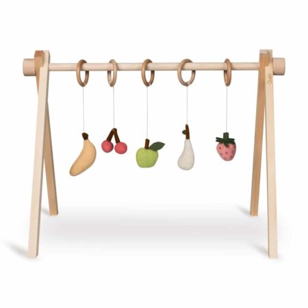 Quax - Activity Toy Set Fruit (5 Pcs)