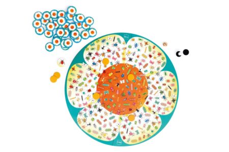 Scratch - Spel: BUGS BUZZ / ZOEKSPEL diam.50cm, met 44 papieren kaartjes en 6 afdekkaartjes, 1 houten dobbelsteen en 1 zandloper (20 sec), in vormendoos 24.6x25.7x6.5cm, 4+