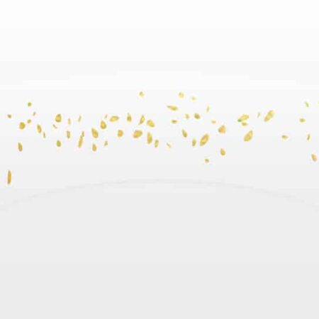 Snails - Gezichtstattoo: SPROETEN, 3 kleuren gemengd, goud, zilver en veelkleurig. Opplakken en je bent klaar.