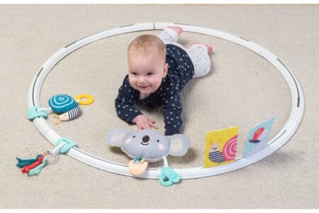 Taf Toys - All Around Me Activity Hoop