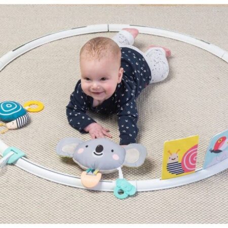 Taf Toys - All Around Me Activity Hoop