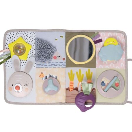 Taf Toys - Developmental Activity Center