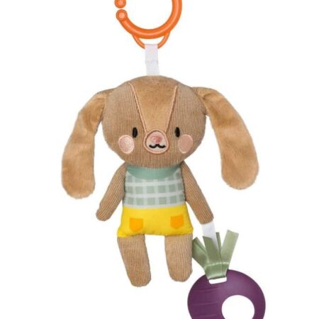 Taf Toys - Jenny Activity Toy