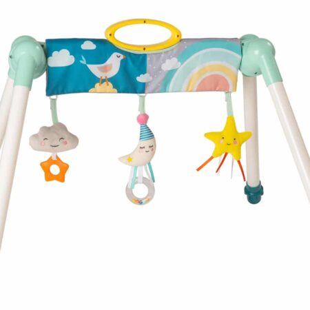 Taf Toys - Mini Moon Take To Play Babygym