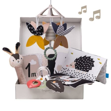 Taf Toys - Newborn Black & White Kit