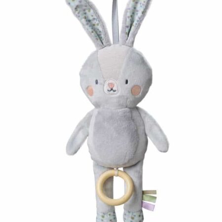 Taf Toys - Rylee Musical Bunny