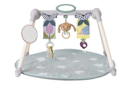 Taf Toys - Urban Garden Foldable Gym