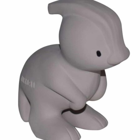 Tikiri - MIJN EERSTE DINOSAURUS / PARA 9,5cm, in natuurlijk rubber, met belletje, met hangkaart, 0+