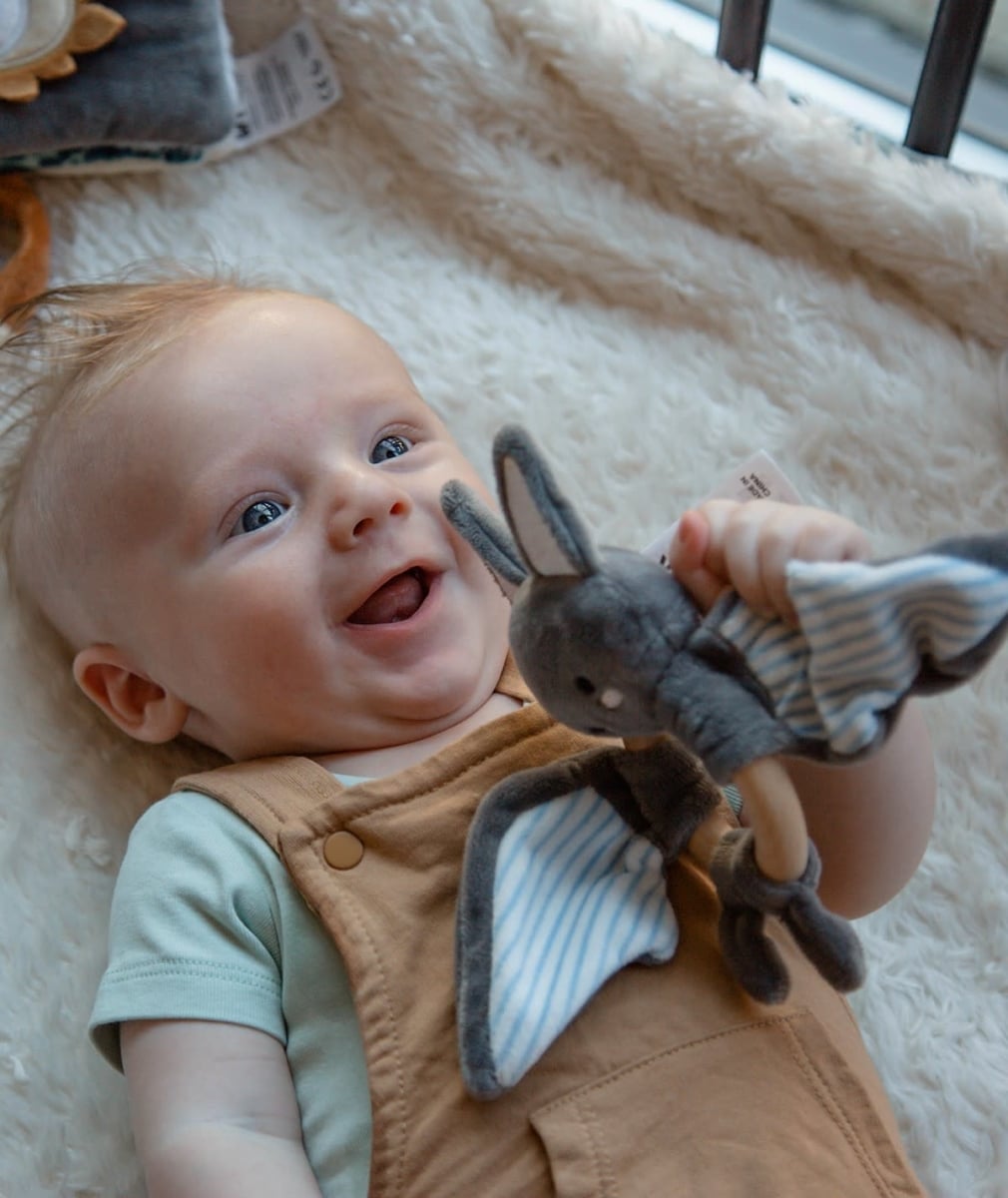 Tryco - Plush - Wooden Ring Rattle - Bat Bruce