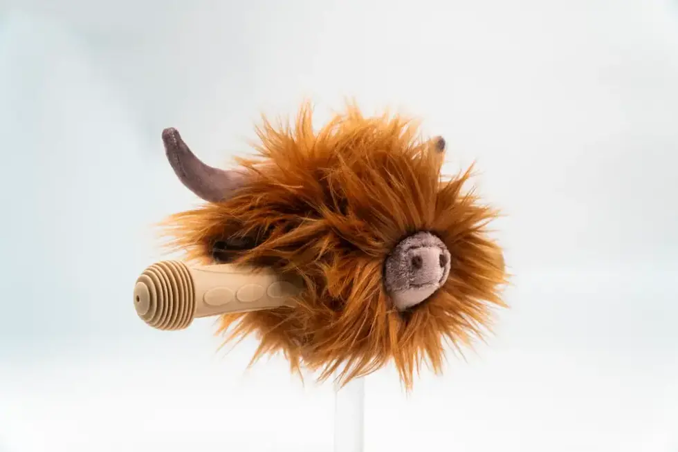 Wild & Soft - Stepkop Schotse koe