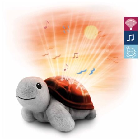 ZAZU - Sunset Projector -Tim Turtle