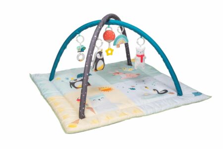 Taf Toys - North Pole 4 Seasons Gym
