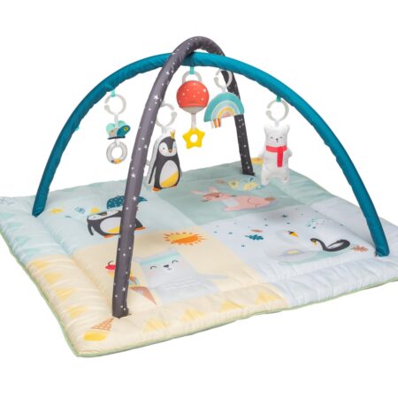 Taf Toys - North Pole 4 Seasons Gym