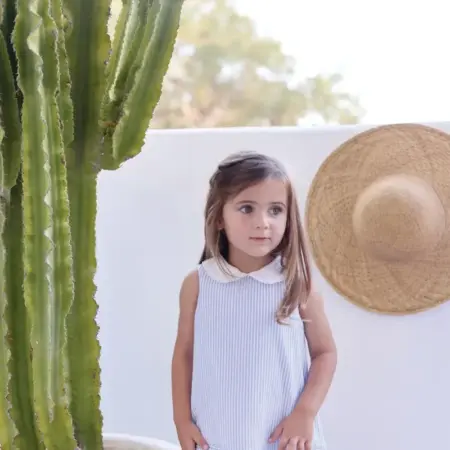 Tartine Et Chocolat - Jurk Korenbloemblauwe strepen Peter Pan kraag