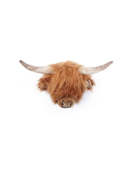 Wild & Soft - Kop Hoogland koe Nicolas