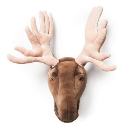 Wild & Soft - Kop eland Alfred