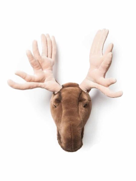 Wild & Soft - Kop eland Alfred