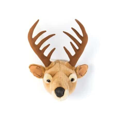 Wild & Soft - Kop hert Billy