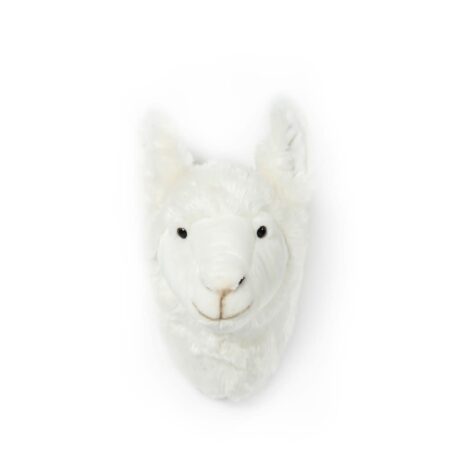 Wild & Soft - Kop lama Lily