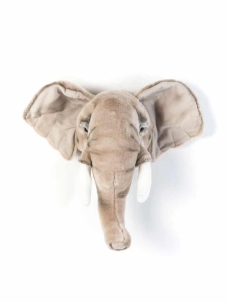 Wild & Soft - Kop olifant George