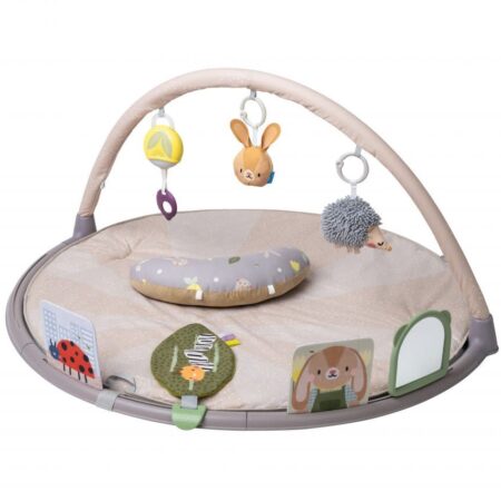 Taf Toys - Tummy-Time Activity Gym