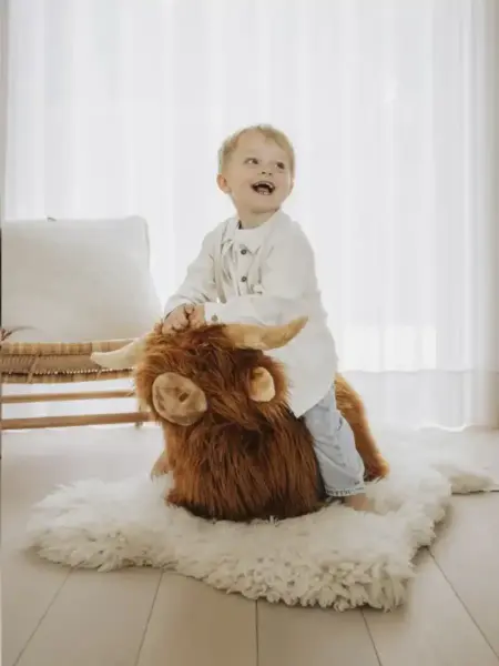 Wild & Soft - Bouncy Highland Cow