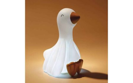 Little Dutch Toys - Night light Little Goose