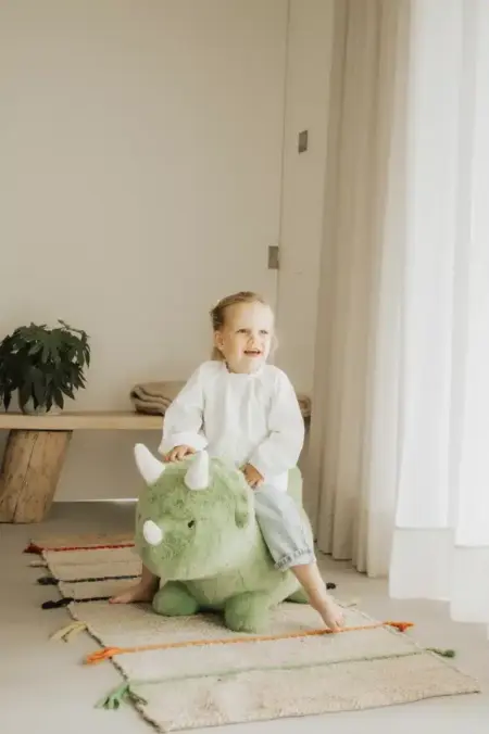 Wild & Soft - Bouncy Dino