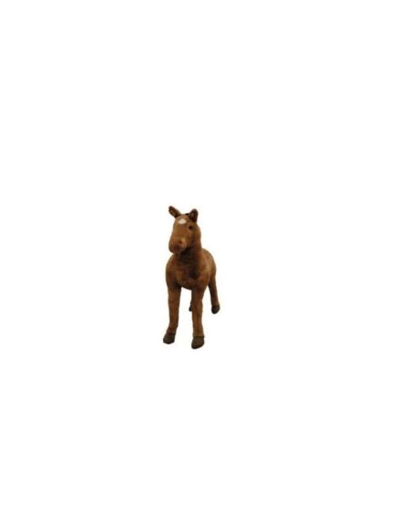 Wild & Soft - Paard