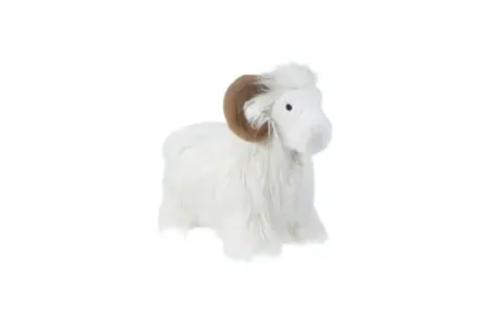 Wild & Soft - Bouncy ram