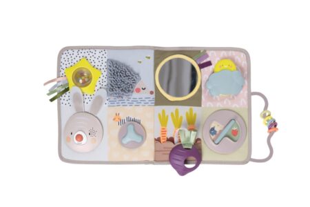 Taf Toys - Developmental Activity Center